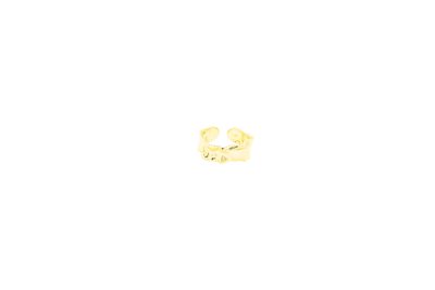 Kelvin Ring Gold